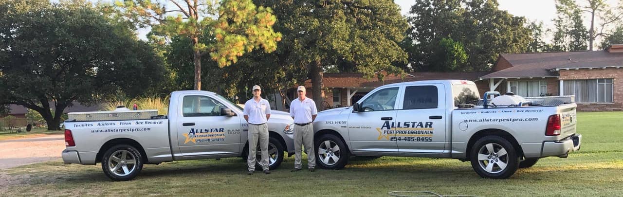 Two Allstar Pest Professionals technicians standing between two company pest control trucks